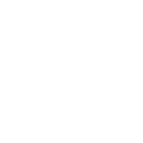 WWE Logo