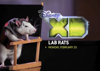 Lab Rats