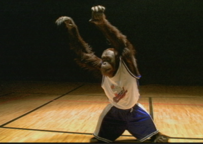 Animal Planet Basketball