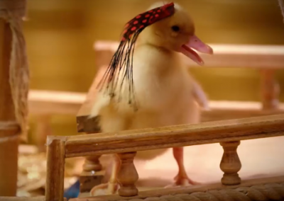DUCKSCENDANTS SEASON 1 LAUNCH